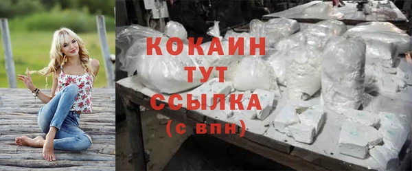 прущие крисы Балахна