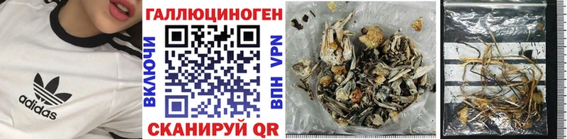 Псилоцибиновые грибы мицелий  Светлоград 